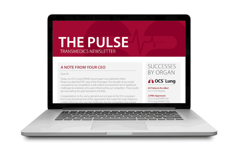 Newsletter HTML Email design